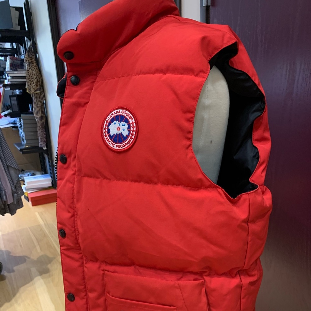 Canada goose